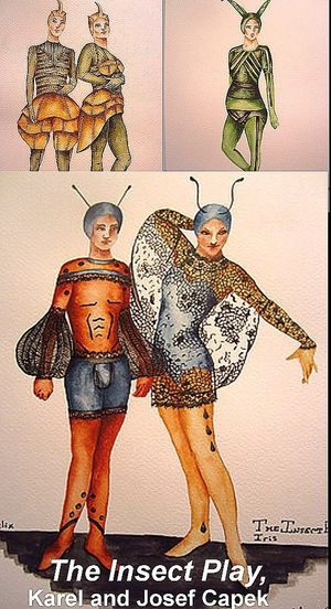 The Insect Play's poster