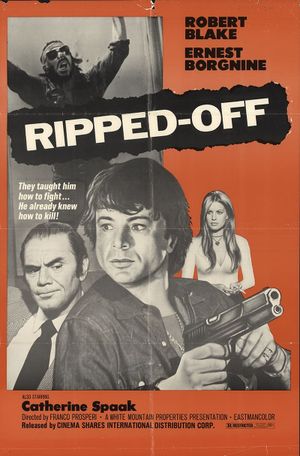 The Boxer's poster