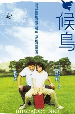Migratory Bird's poster