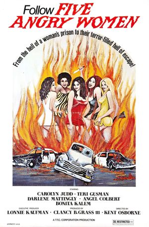 Five Angry Women's poster