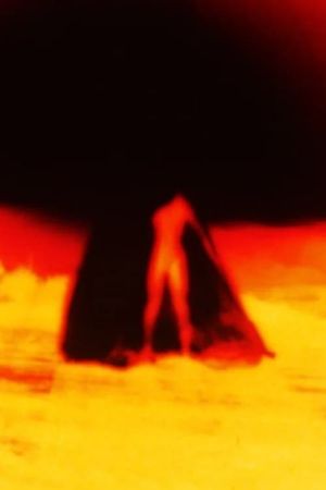 Marasmus's poster