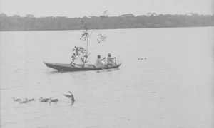 Amazonas, Maior Rio do Mundo's poster