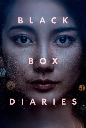 Black Box Diaries's poster