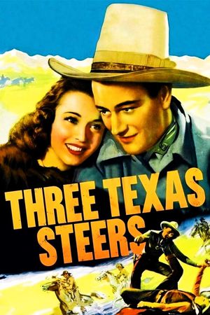 Three Texas Steers's poster