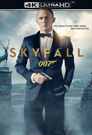 Skyfall's poster