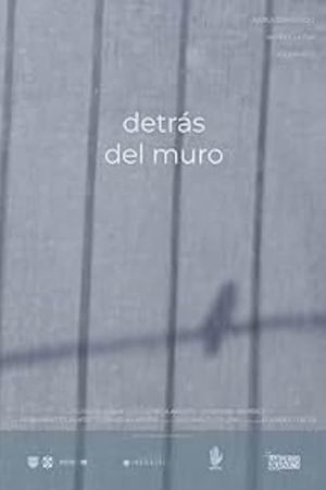 Detrás del Muro's poster