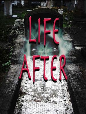 Life After's poster