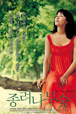 The Windmill Palm Grove's poster