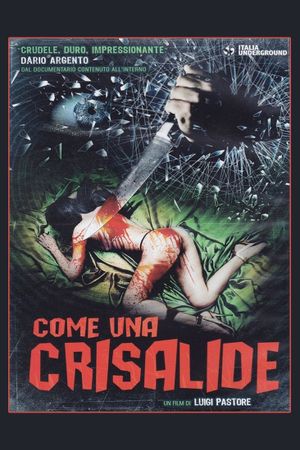 Symphony in Blood Red's poster