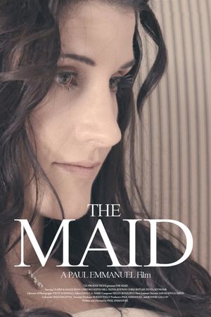 The Maid's poster