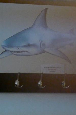 Waiting Room's poster