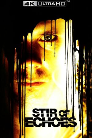 Stir of Echoes's poster