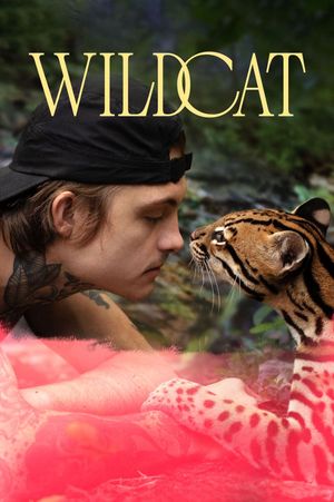 Wildcat's poster