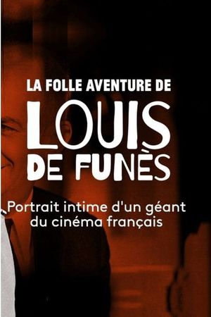 La Folle Aventure de Louis de Funès's poster