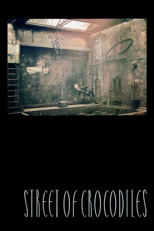 Street of Crocodiles's poster