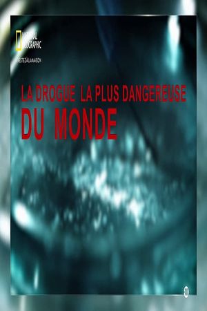 Worlds Most Dangerous Drug's poster