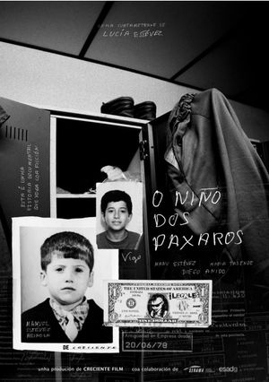 O niño dos paxaros's poster