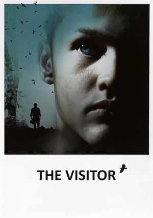 The Visitor's poster