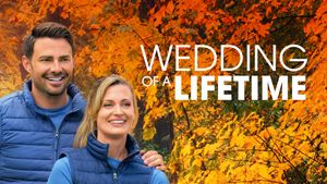 Wedding of a Lifetime's poster