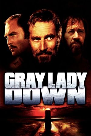 Gray Lady Down's poster