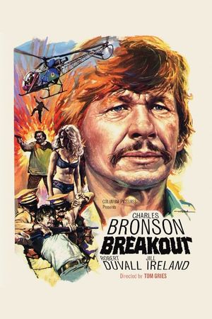 Breakout's poster image