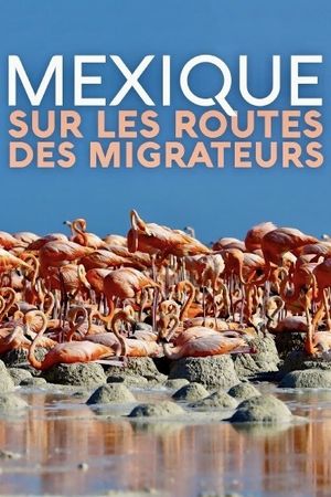 Mexique, sur les routes des migrateurs's poster