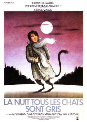 At Night All Cats Are Crazy's poster image