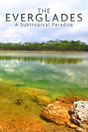 National Parks Exploration Series: The Everglades - A Subtropical Paradise's poster