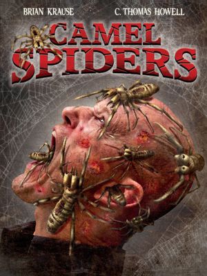 Camel Spiders's poster