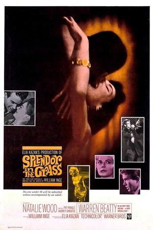 Splendor in the Grass's poster