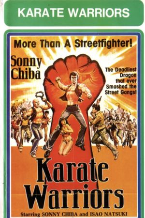 Karate Warriors's poster