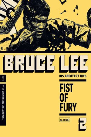Fist of Fury's poster