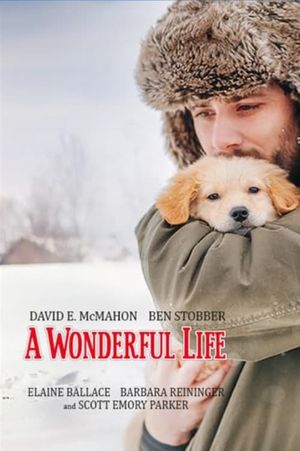 A Wonderful Life's poster