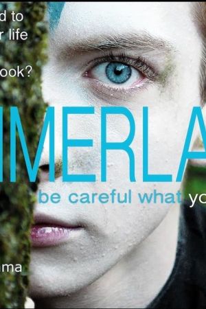 Summerlake's poster