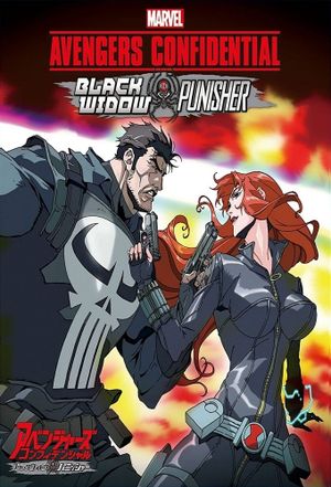 Avengers Confidential: Black Widow & Punisher's poster