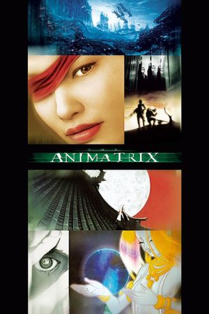 The Animatrix's poster