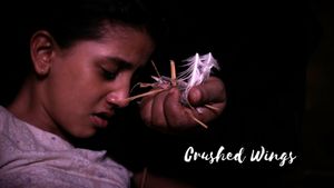 Crushed Wings's poster
