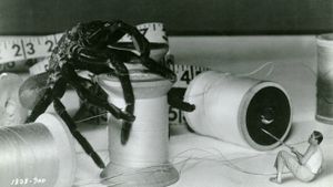 The Incredible Shrinking Man's poster