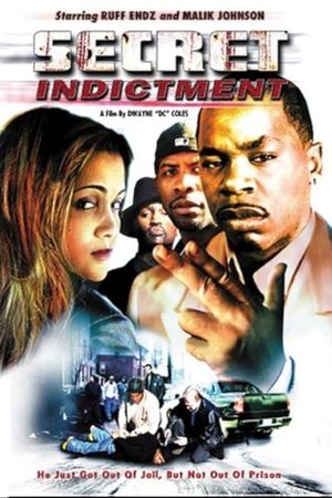 Secret Indictment's poster image