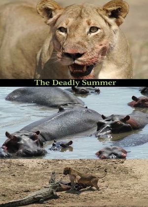 Deadly Summer's poster