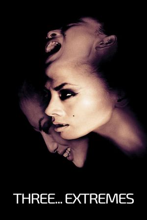 Three... Extremes's poster