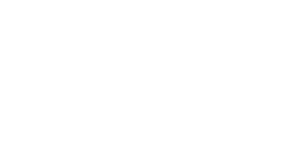 The Wedding Veil Journey's poster