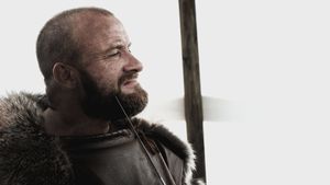 The Lost Viking's poster