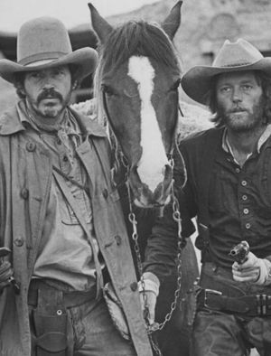 Return of the "Hired Hand"'s poster