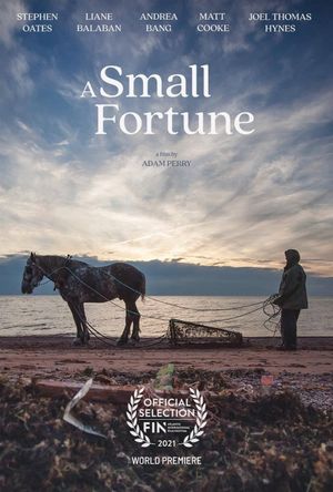 A Small Fortune's poster