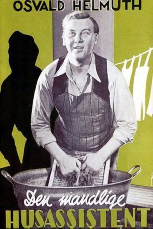 Den mandlige husassistent's poster