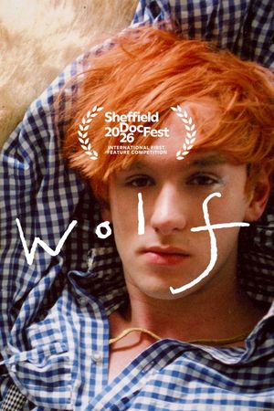 WOLF's poster image