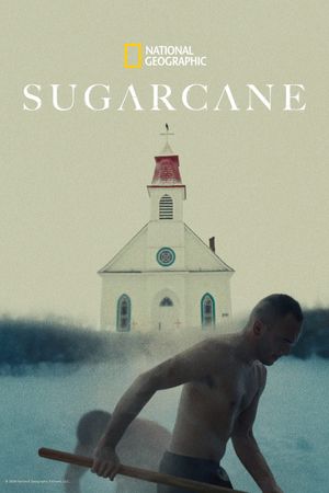 Sugarcane's poster