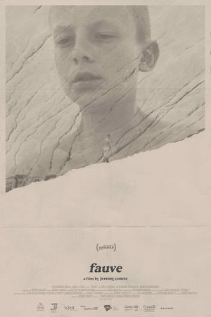 Fauve's poster