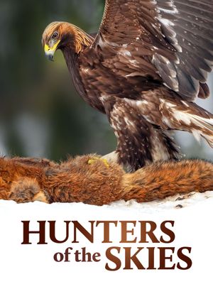 Hunters of the Skies's poster